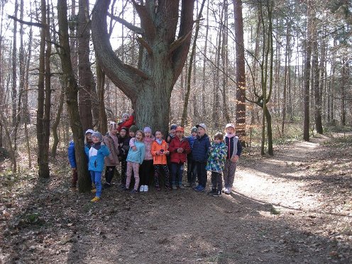 Poszukiwanie oznak wiosny. Grupka kolorowo ubranych dzieci na tle pni drzew. Po prawej stronie widać leśną, piaszczystą drogę.